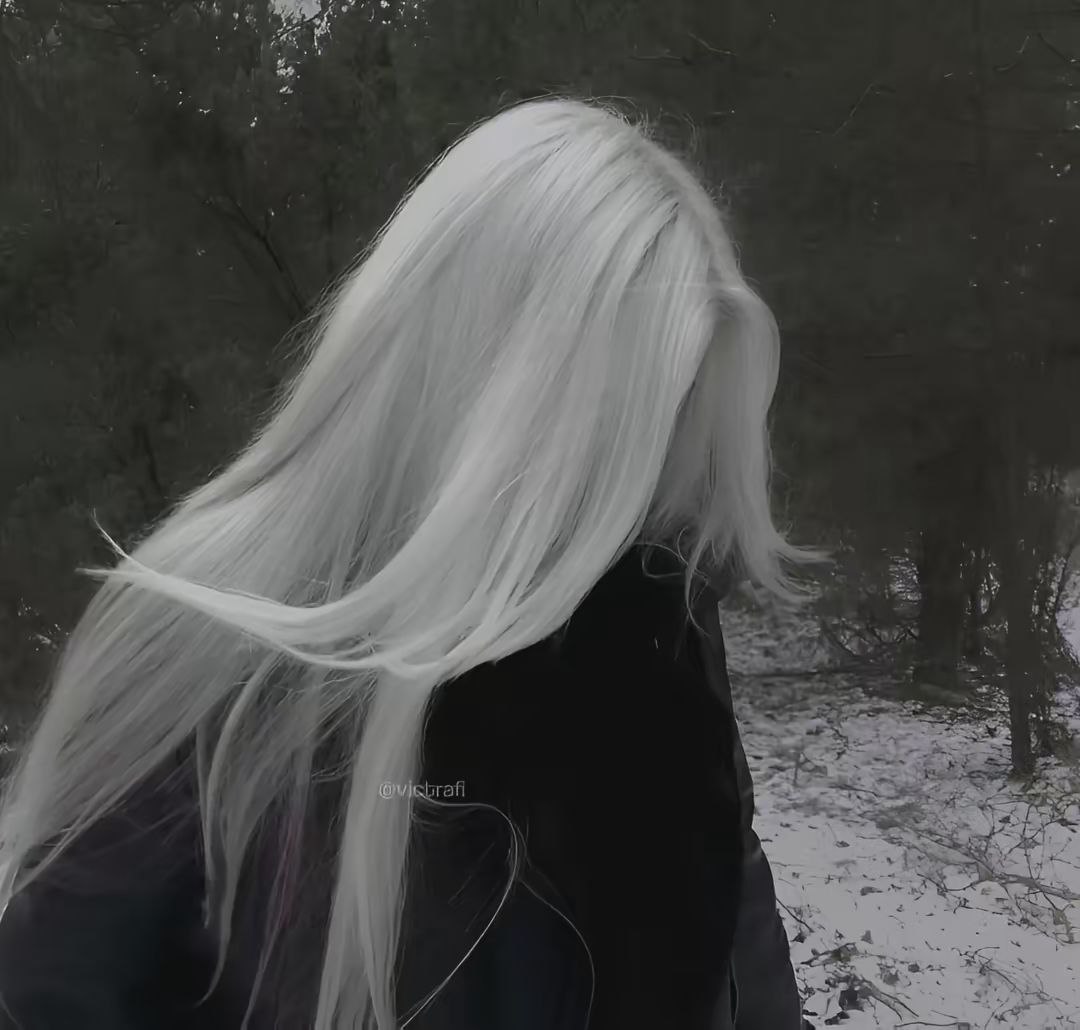 ✦   wolsart